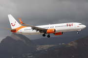 TUI Airlines Netherlands (Sunwing) Boeing 737-81D (C-FFPH) at  Tenerife Sur - Reina Sofia, Spain