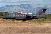 ChartRight Air Bombardier CL-600-2B16 Challenger 605 (C-FLMK) at  Palma De Mallorca - Son San Juan, Spain