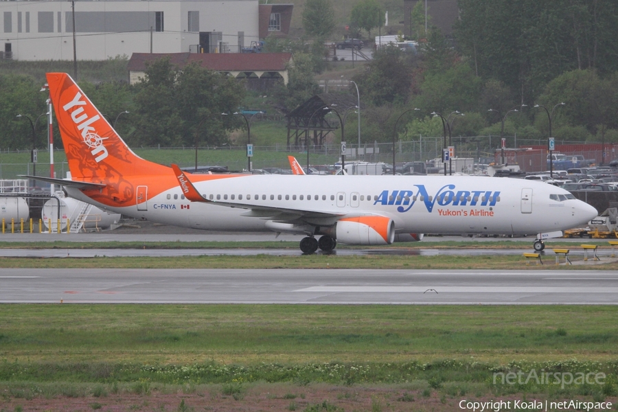Air North Boeing 737-8AL (C-FNYA) | Photo 680318
