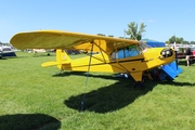 (Private) Piper J3C-65 Cub (C-FOXQ) at  Oshkosh - Wittman Regional, United States