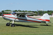 (Private) Cessna 170A (C-FPPQ) at  Oshkosh - Wittman Regional, United States