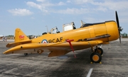 (Private) Canadian Car &amp; Foundry Harvard 4 (C-FWPK) at  Detroit - Willow Run, United States