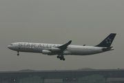 Air Canada Airbus A340-313X (C-FYLD) at  Frankfurt am Main, Germany