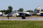 Top Aces Dassault-Dornier Alpha Jet A (C-GFTO) at  Nordholz - NAB, Germany