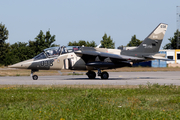 Top Aces Dassault-Dornier Alpha Jet A (C-GFTO) at  Nordholz - NAB, Germany