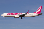 Swoop Boeing 737-8 MAX (C-GISM) at  Las Vegas - Harry Reid International, United States