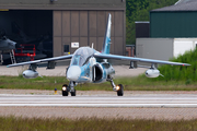 Top Aces Dassault-Dornier Alpha Jet A (C-GITA) at  Wittmundhafen Air Base, Germany
