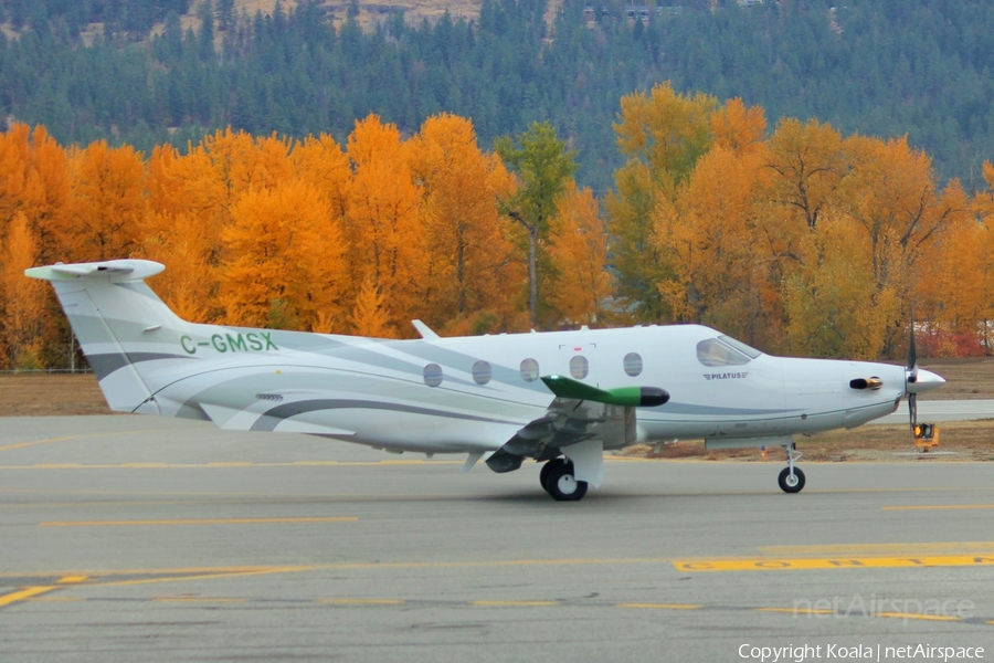 (Private) Pilatus PC-12/47E (C-GMSX) | Photo 536273