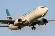 WestJet Boeing 737-8CT (C-GZWS) at  Los Angeles - International, United States