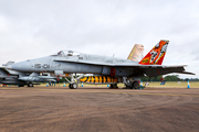 Spanish Air Force (Ejército del Aire) McDonnell Douglas EF-18A Hornet (C.15-14) at  RAF Fairford, United Kingdom