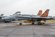 Spanish Air Force (Ejército del Aire) McDonnell Douglas EF-18A Hornet (C.15-14) at  RAF Fairford, United Kingdom
