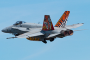 Spanish Air Force (Ejército del Aire) McDonnell Douglas EF-18A Hornet (C.15-14) at  RAF Fairford, United Kingdom