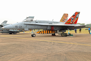 Spanish Air Force (Ejército del Aire) McDonnell Douglas EF-18A Hornet (C.15-14) at  RAF Fairford, United Kingdom