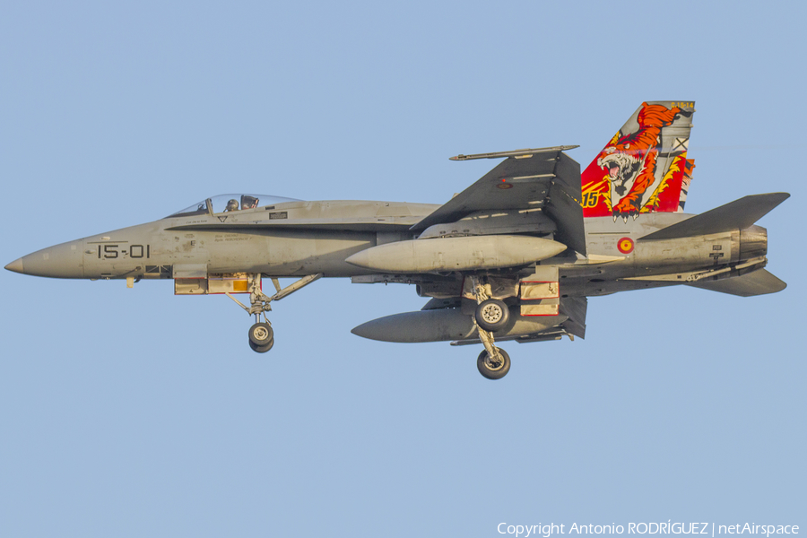 Spanish Air Force (Ejército del Aire) McDonnell Douglas EF-18A Hornet (C.15-14) | Photo 140494