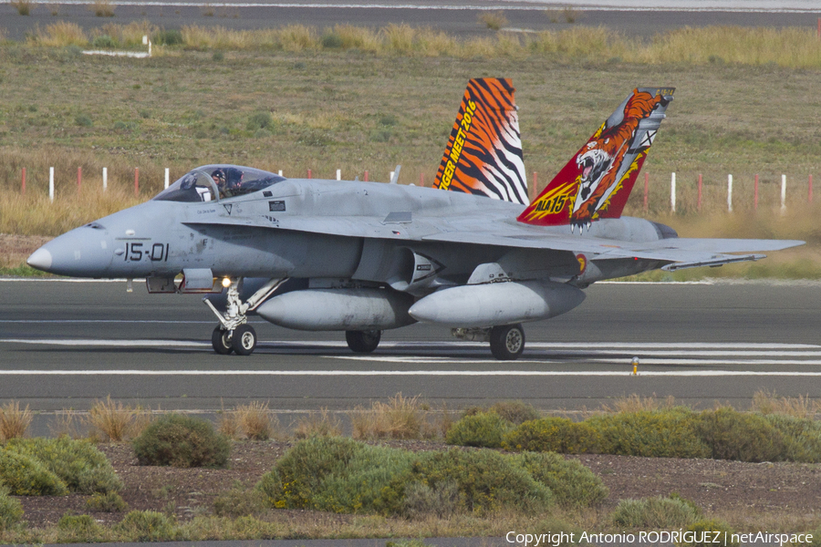 Spanish Air Force (Ejército del Aire) McDonnell Douglas EF-18A Hornet (C.15-14) | Photo 141369