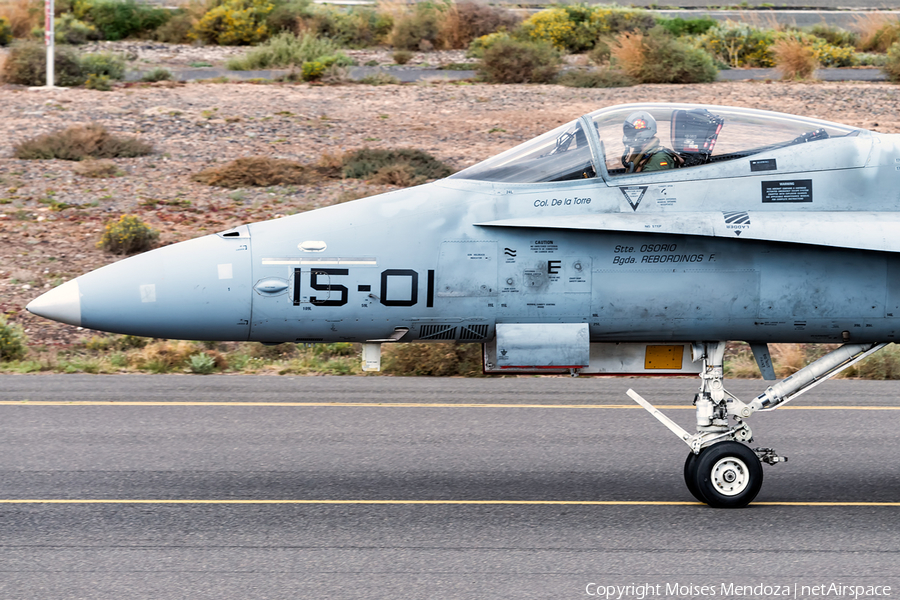 Spanish Air Force (Ejército del Aire) McDonnell Douglas EF-18A Hornet (C.15-14) | Photo 142239