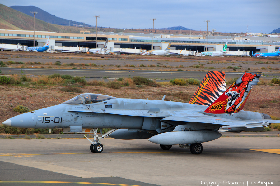 Spanish Air Force (Ejército del Aire) McDonnell Douglas EF-18A Hornet (C.15-14) | Photo 365436