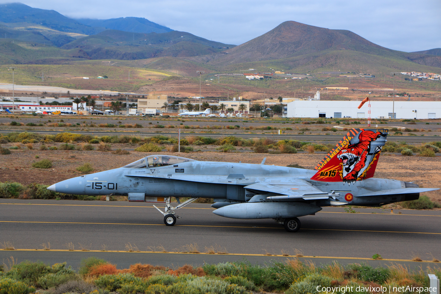 Spanish Air Force (Ejército del Aire) McDonnell Douglas EF-18A Hornet (C.15-14) | Photo 365437