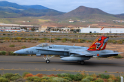 Spanish Air Force (Ejército del Aire) McDonnell Douglas EF-18A Hornet (C.15-14) at  Gran Canaria, Spain