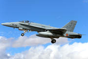 Spanish Air Force (Ejército del Aire) McDonnell Douglas EF-18A Hornet (C.15-15) at  Albacete - Los Llanos Air Base, Spain