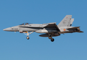 Spanish Air Force (Ejército del Aire) McDonnell Douglas EF-18M Hornet (C.15-16) at  Zaragoza, Spain