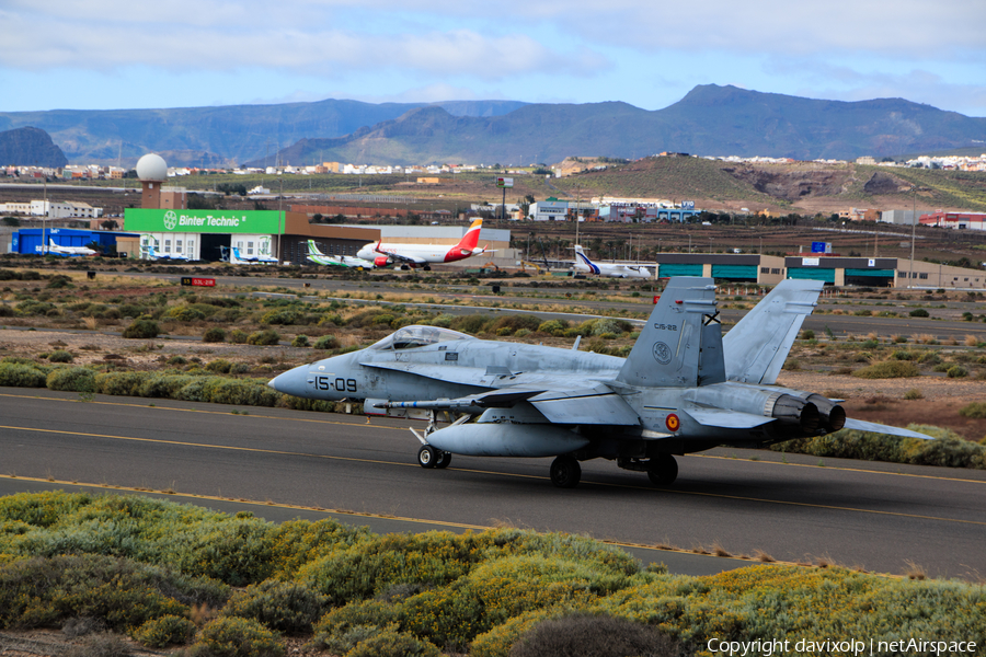 Spanish Air Force (Ejército del Aire) McDonnell Douglas EF-18A Hornet (C.15-22) | Photo 365439
