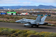 Spanish Air Force (Ejército del Aire) McDonnell Douglas EF-18A Hornet (C.15-22) at  Gran Canaria, Spain