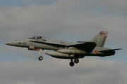 Spanish Air Force (Ejército del Aire) McDonnell Douglas EF-18M Hornet (C.15-23) at  Florennes AFB, Belgium