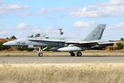 Spanish Air Force (Ejército del Aire) McDonnell Douglas EF-18A Hornet (C.15-25) at  Albacete - Los Llanos Air Base, Spain