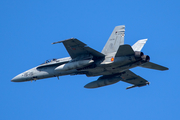 Spanish Air Force (Ejército del Aire) McDonnell Douglas EF-18M Hornet (C.15-28) at  Leeuwarden Air Base, Netherlands