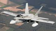 Spanish Air Force (Ejército del Aire) McDonnell Douglas EF-18M Hornet (C.15-30) at  In Flight, Belgium