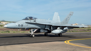 Spanish Air Force (Ejército del Aire) McDonnell Douglas EF-18M Hornet (C.15-31) at  Gran Canaria, Spain