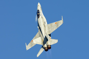 Spanish Air Force (Ejército del Aire) McDonnell Douglas EF-18M Hornet (C.15-31) at  Lleida–Alguaire, Spain