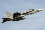 Spanish Air Force (Ejército del Aire) McDonnell Douglas EF-18M Hornet (C.15-32) at  Gran Canaria, Spain