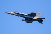 Spanish Air Force (Ejército del Aire) McDonnell Douglas EF-18M Hornet (C.15-33) at  Leeuwarden Air Base, Netherlands