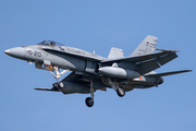 Spanish Air Force (Ejército del Aire) McDonnell Douglas EF-18M Hornet (C.15-33) at  Leeuwarden Air Base, Netherlands