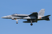 Spanish Air Force (Ejército del Aire) McDonnell Douglas EF-18M Hornet (C.15-33) at  Leeuwarden Air Base, Netherlands