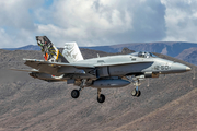 Spanish Air Force (Ejército del Aire) McDonnell Douglas EF-18M Hornet (C.15-34) at  Gran Canaria, Spain