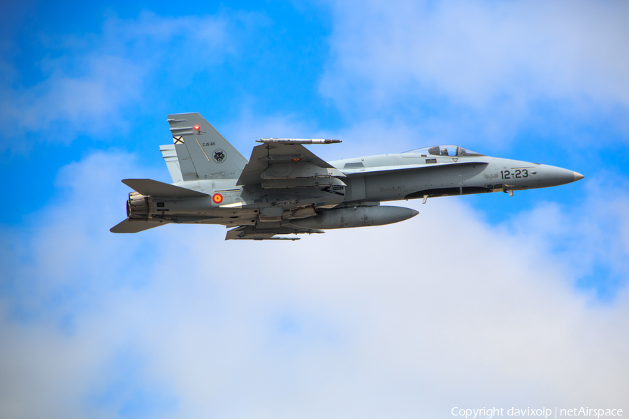 Spanish Air Force (Ejército del Aire) McDonnell Douglas EF-18M Hornet (C.15-36) | Photo 365440