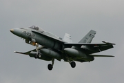 Spanish Air Force (Ejército del Aire) McDonnell Douglas EF-18M Hornet (C.15-36) at  Florennes AFB, Belgium