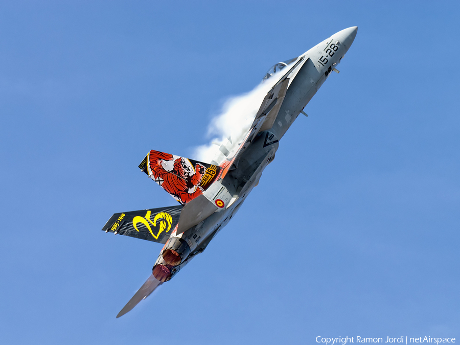 Spanish Air Force (Ejército del Aire) McDonnell Douglas EF-18A Hornet (C.15-41) | Photo 191597