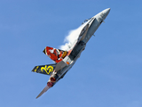 Spanish Air Force (Ejército del Aire) McDonnell Douglas EF-18A Hornet (C.15-41) at  Lleida–Alguaire, Spain