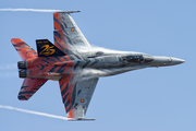 Spanish Air Force (Ejército del Aire) McDonnell Douglas EF-18A Hornet (C.15-41) at  Lleida–Alguaire, Spain