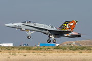 Spanish Air Force (Ejército del Aire) McDonnell Douglas EF-18A Hornet (C.15-41) at  Lleida–Alguaire, Spain