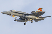 Spanish Air Force (Ejército del Aire) McDonnell Douglas EF-18A Hornet (C.15-41) at  Gran Canaria, Spain