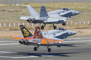 Spanish Air Force (Ejército del Aire) McDonnell Douglas EF-18A Hornet (C.15-41) at  Gran Canaria, Spain