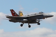 Spanish Air Force (Ejército del Aire) McDonnell Douglas EF-18A Hornet (C.15-41) at  Gran Canaria, Spain