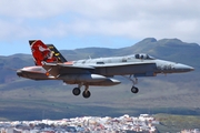 Spanish Air Force (Ejército del Aire) McDonnell Douglas EF-18A Hornet (C.15-41) at  Gran Canaria, Spain