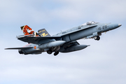 Spanish Air Force (Ejército del Aire) McDonnell Douglas EF-18A Hornet (C.15-41) at  Gran Canaria, Spain