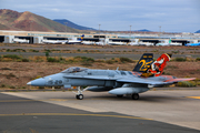 Spanish Air Force (Ejército del Aire) McDonnell Douglas EF-18A Hornet (C.15-41) at  Gran Canaria, Spain